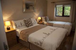 Отели типа «постель и завтрак» Arch House B&B Атлон Стандартный двухместный номер с 2 отдельными кроватями-5